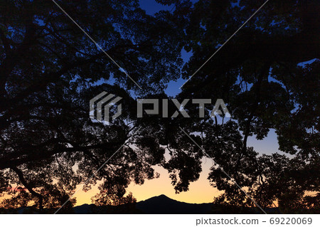 京都的晨光 京都的晨光 69220069