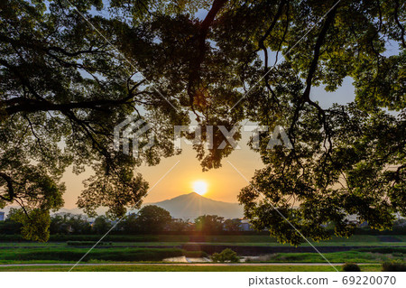 京都的晨光 69220070