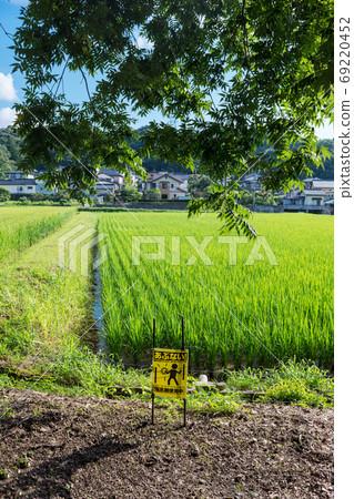 用於野豬保護的電子圍欄Shimane Matsue，農村夏季的病蟲害防治 69220452