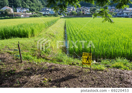 Electric Fence For Boar Protection Shimane Stock Photo 69220453 Pixta