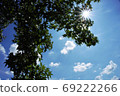 Kaede silhouette and sunshine 69222266