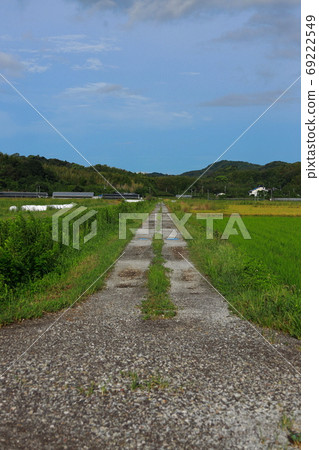 Country road 69222549
