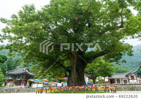 Naesosa, Buan-gun, Jeonbuk 69222620