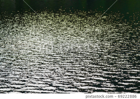 Shining lake surface 69222886