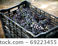 Grape wine 69223455