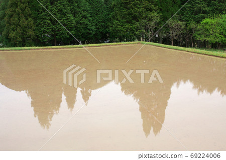 Paddy field filled with water 69224006