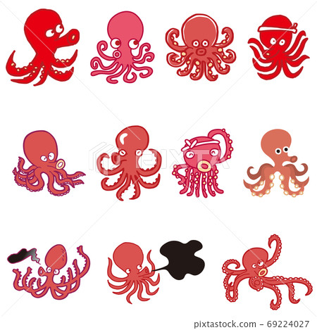 Octopus 01 69224027