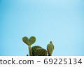 心形的仙人掌和藍藍的天空heart心背景圖像2 69225134