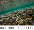 沖繩石垣島上美麗的珊瑚礁 69225139