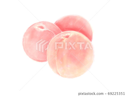 Peach_D手繪_無字母 Peach_D手繪_無字母 69225351