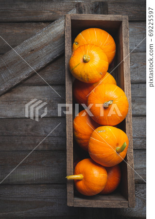 Fall composition with autumn pumpkins, copy space Fall composition with autumn pumpkins, copy space 69225597
