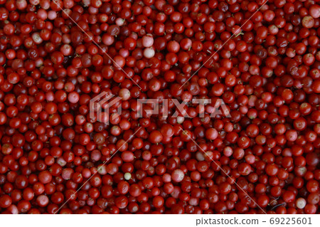 Harvested lingonberry harvest. 69225601