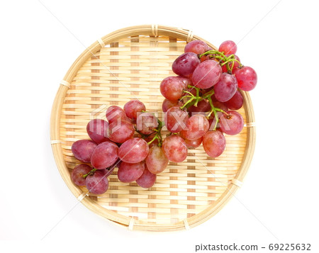 葡萄葡萄 葡萄葡萄 69225632