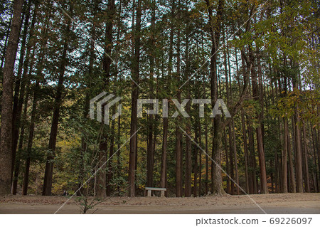 大街 大街 69226097