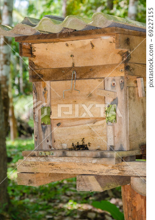 Apiary Made from Wooden Box for Horney Bee House in Tropical Natural Garden. 69227155