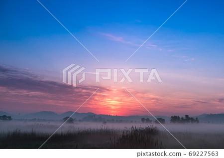 Dawn of Sorae Ecological Park 69227563
