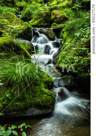 苔蘚山谷山間溪流 苔蘚山谷山間溪流 69227579