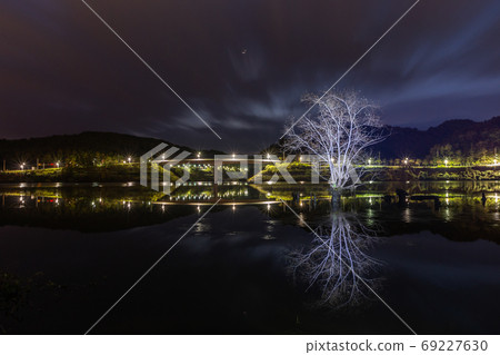 Lohas Park night view 69227630