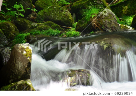 Refreshing early summer mountain stream Refreshing early summer mountain stream 69229054
