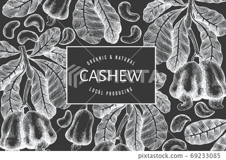 Hand drawn sketch cashew design template. Organic food vector illustration on chalk board. Vintage nut illustration. Engraved style botanical background. 69233085