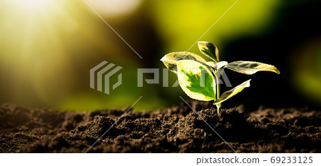 Ecological friendly and sustainable environment 69233125