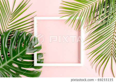 Texture tropical palm leaf Monstera and white frame for text on pink background. Flat lay, top view 69233135