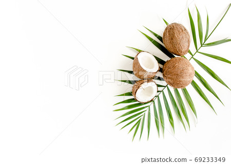 Tropical green palm leaf and cracked coconut on white background. Nature concept. flat lay, top view Tropical green palm leaf and cracked coconut on white background. Nature concept. flat lay, top view 69233349
