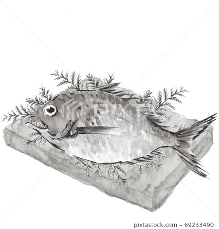 Sea bream Tai 1 Hiba Monotone White background [ink painting style] 69233490
