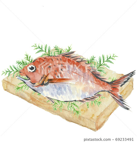 Sea bream Tai 1 Hiba cutting board [Watercolor] 69233491