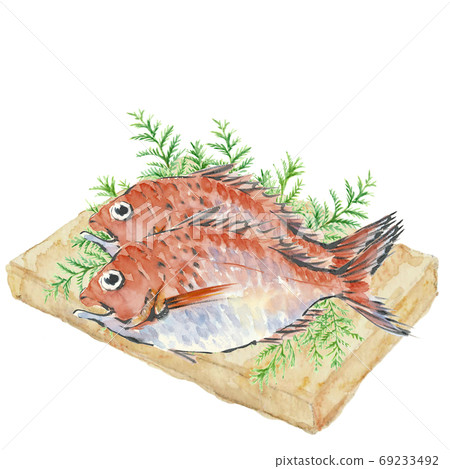 Two sea breams on a cutting board with hiba [Hand-painted watercolor] White background Transparent background 69233492
