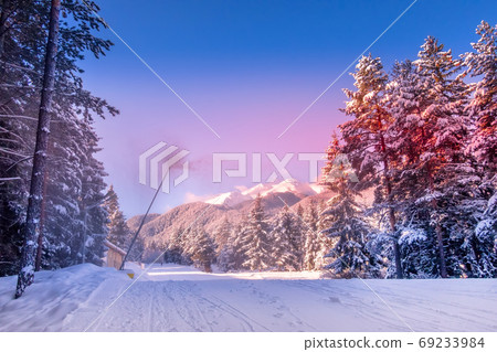 Bansko ski road slope and snow trees, Bulgaria 69233984