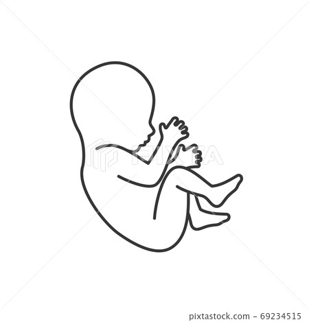 Fetus Icon Isolated on White Background. Line Style Vector 69234515