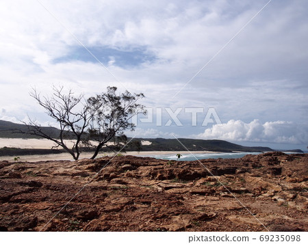 Fraser Island Fraser Island 69235098