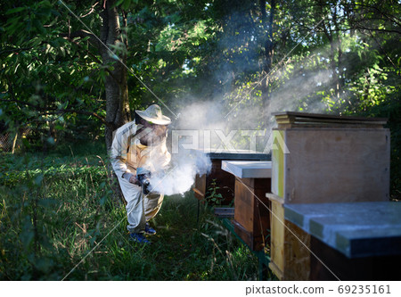 Portrait of man beekeeper working in apiary, using bee smoker. Portrait of man beekeeper working in apiary, using bee smoker. 69235161