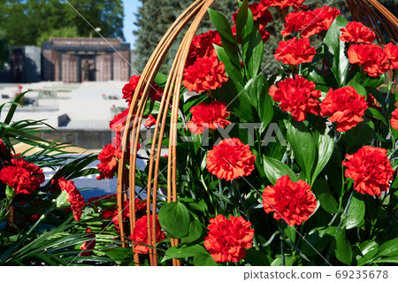 flowers on the memorial to fallen soldiers, red carnations on black marble flowers on the memorial to fallen soldiers, red carnations on black marble 69235678