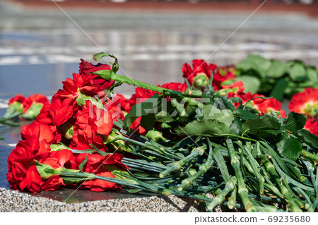 flowers on the memorial to fallen soldiers, red carnations on black marble, Russian text - monument to the unknown soldier flowers on the memorial to fallen soldiers, red carnations on black marble, Russian text - monument to the unknown soldier 69235680