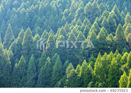 雪松綠色里山 雪松綠色里山 69235923