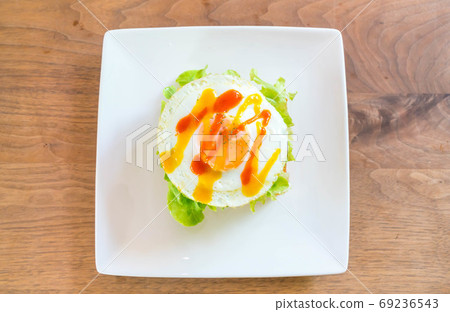 bread toast with fried egg and vegetable bread toast with fried egg and vegetable 69236543