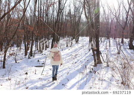Taebaek Mountain Snow Road 69237119