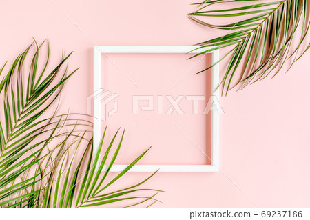 White frame and tropical palm leaves Phoenix on pink background. Flat lay, top view White frame and tropical palm leaves Phoenix on pink background. Flat lay, top view 69237186