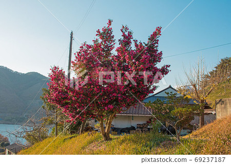 酷背景 酷背景 69237187