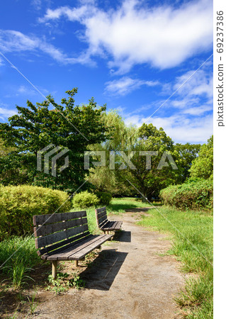 Park bench in mid summer 69237386