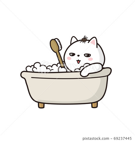 Cat washing her body in the bath Cat washing her body in the bath 69237445