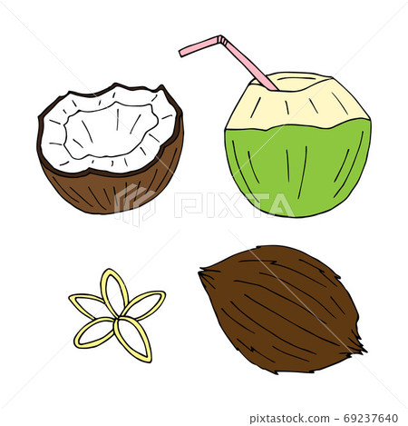 Vector set of colored hand drawn doodle coconut Vector set of colored hand drawn doodle coconut 69237640
