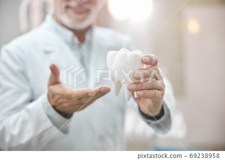 Demonstration of a large tooth model in a dental clinic Demonstration of a large tooth model in a dental clinic 69238958