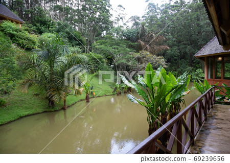 A small wooden bridge over a small river in a rainforest in Mada 69239656