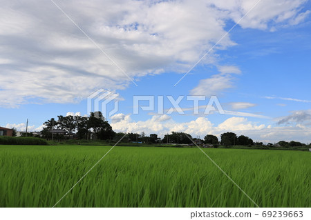 Sa玉縣上尾市瓦屋頂景觀 Sa玉縣上尾市瓦屋頂景觀 69239663