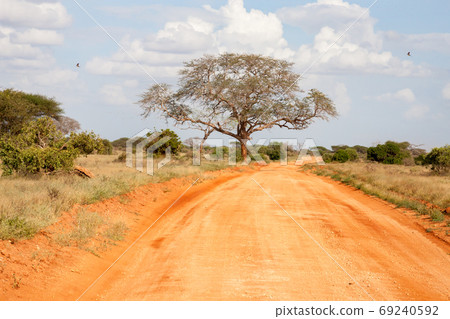 Way throught the savannah with red soil Way throught the savannah with red soil 69240592