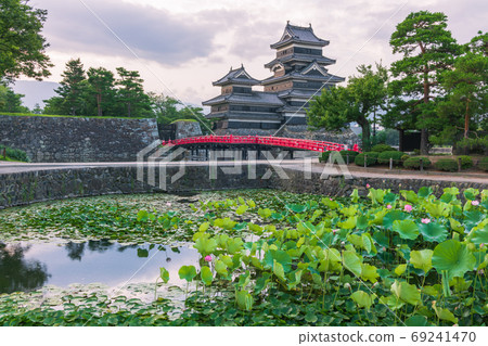 蓮池，松本城和埋葬的橋[夏天早晨] 69241470