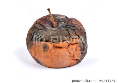 Old rotten apple on white background Old rotten apple on white background 69241575